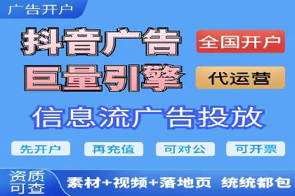 搜索引擎优化（SEO）与竞价广告（SEM）的对比案例